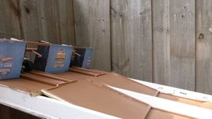 Hot Wheels Monster Truck Racing 1970 Dodge Charger R/T