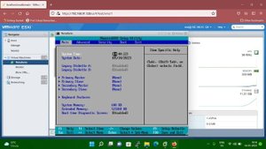 How to access BIOS menu of a virtual machine in VMware | system boot in rescue mode