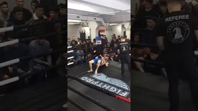 Самат Адиев wef смотреть онлайн