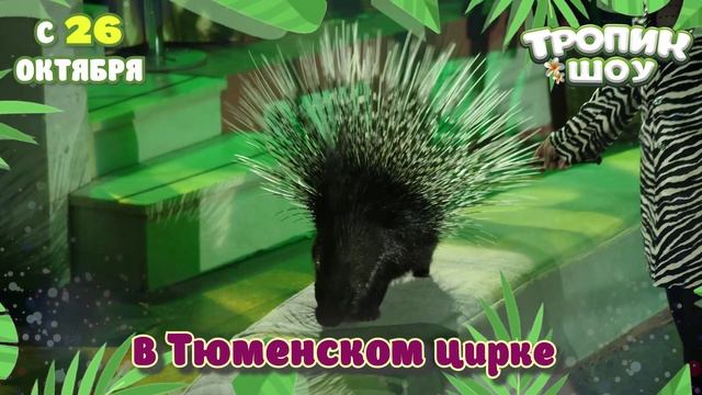 🌴ПУТЕШЕСТВИЕ В ТРОПИКИ🌴