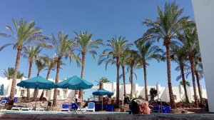 я в шарма ль шейхн