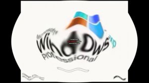 I KILLED MICROSOFT WINDOWS XP PROFESSIONAL EFFECTS IN LOWER VOICE IN HIGH MAJOR