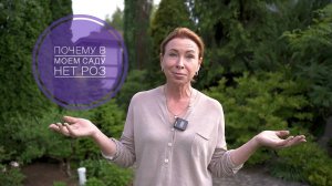 Розам НЕ МЕСТО в декоративном малоуходном саду.  Почему в моем саду нет роз.
