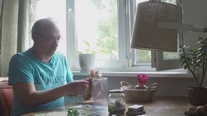 Закуска из шпрот и сырков Дружба