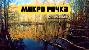 #мормышинг | Микро речка |