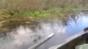 Москва М   как буржуй