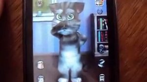 Aplicativo Android (Talking Tom 2)
