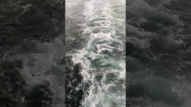 Insane Power of Giant ship propeller