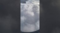 21 августа 2024 г.
