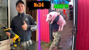 №34 ПРИОБРЕЛ БЮДЖЕТНУЮ САБЕЛЬНУЮ ПИЛУ👍ПОДПИСЧИКИ ПРИЕХАЛИ ЗА ПОРОСЯТАМИ!!!