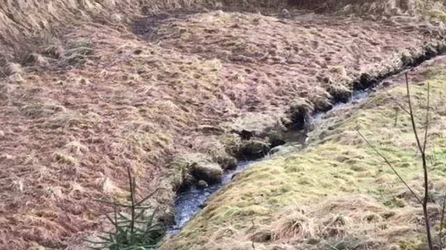 Kameralara Yakalanan En İnanılmaz Kartal Saldırıları смотреть онлайн