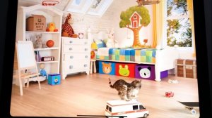 STORY LITTLE KITTEN ADVENTURE -  FUN BABY KITTEN ANIMATION MINI GAMES FOR CHILDREN