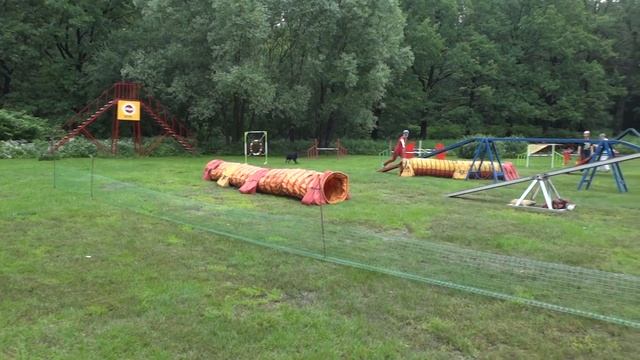 Дарий, Злата, Дарси Гэмбл смотреть онлайн