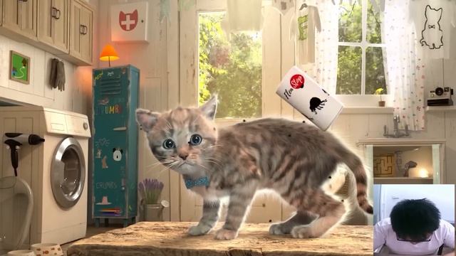 MY LITTLE KITTEN ADVENTURE - SUPER SPECIAL ADVENTURE JOURNEY OF KITTY AND WOODEN AIRPLAN смотреть онлайн