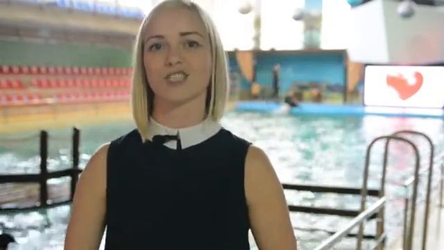 Отзыв о полиграфии ЦМИК от Ярославского Дельфинария смотреть онлайн