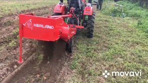 Как расширить колею на Кентавр 244 и выкопать картофель,урожай 2021