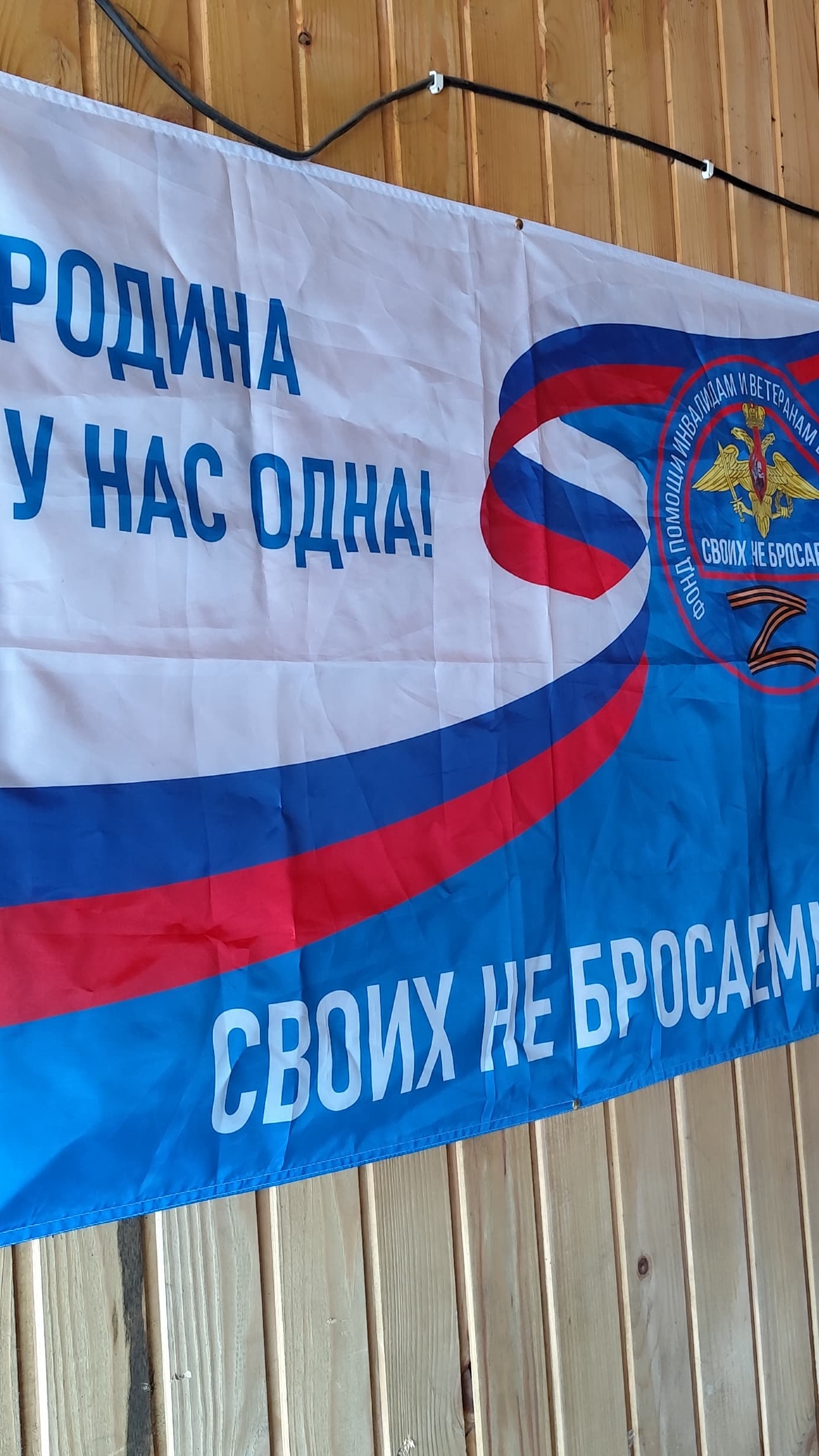 сазаны на пруде