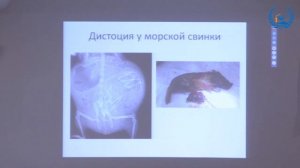 Каземирчук М. С. в УЦ «Зоовет» | ч.1