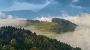 Музыка без слов