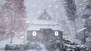 УБИЙСТВЕННАЯ МЕТЕЛЬ и СОКРУШИТЕЛЬНЫЙ ЗИМНИЙ ШТОРМ на Аляске ожидаются в 2024 году