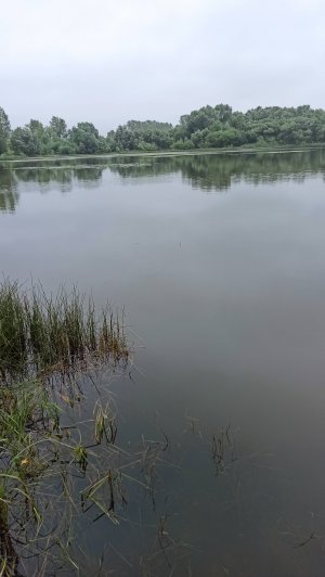 ЩУКА ЧУТЬ НЕ СОШЛА И Я ПРЫГНУЛ ЗА НЕЙ !!!