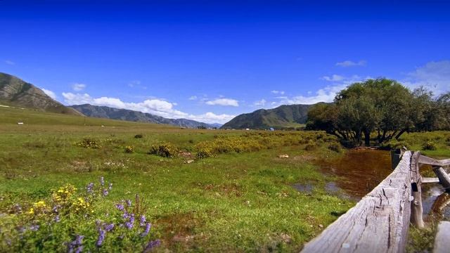Altay timelapse