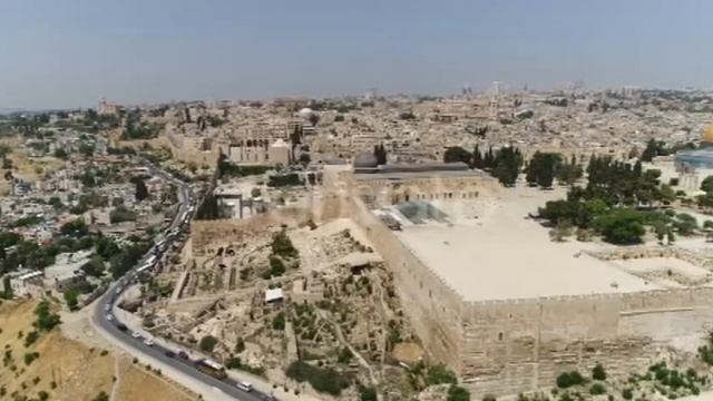 Israel attacks Palestine and Hamas retaliates \urdu/hindi смотреть онлайн