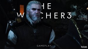 Тайна деревни Стежки | The Witcher 3 | Gameplay