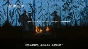 В Ростовской области сохраняются риски возникновения пожаров