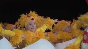 Цып цып, мои цыплятки