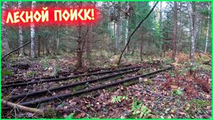 ОТ ТАКИХ НАХОДОК ЗАХВАТЫВАЕТ ДУХ!!! В ЭТОТ РАЗ УДАЧА НА НАШЕЙ СТОРОНЕ!!!