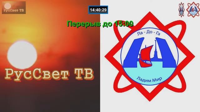 Грибы и конопля: что выберем - галлюцинации или реальность? смотреть онлайн
