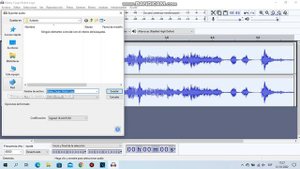 How To Make a Vocoded Effect Klasky Csupo on Sony Vegas Pro and Audacity