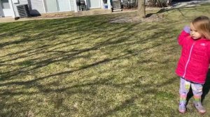 США | Чикаго Где живут русские Wheeling