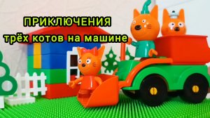 ПРИКЛЮЧЕНИЯ ТРЁХ КОТОВ НА МАШИНЕ 😃