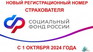 КАК УЗНАТЬ СВОЙ НОВЫЙ НОМЕР СТРАХОВАТЕЛЯ С 1 ОКТЯБРЯ 2024