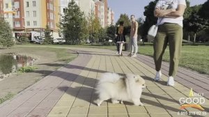 ЖК Немецкая Деревня в Краснодаре