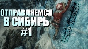 НАШЁЛ СЕКРЕТНУЮ ГРОБНИЦУ ► Rise of the Tomb Raider™ #1