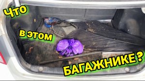 Как очистить ГРЯЗНЫЙ багажник