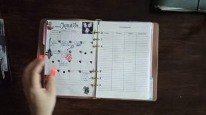 мои первые планеры на кольцах