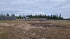 3 место во 2 зоне в конкурсе "Семейное подворье: трудовое воспитание молодежи"