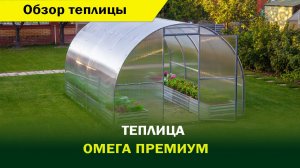 Обзор теплицы "Омега Премиум" от компании "Воля"