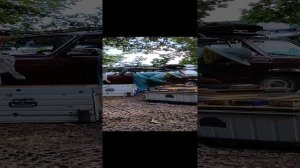 пчеловодство