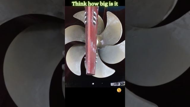 How Big The Cruise Ship Propeller short