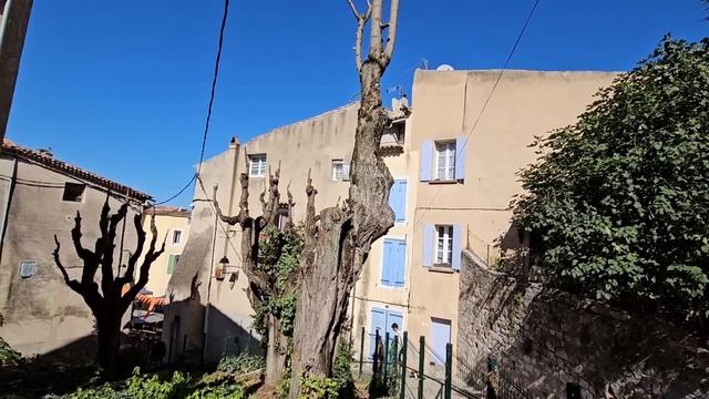Много ярких осенних красок и положительных эмоций! ПРАЗДНИК ТЫКВЫ 2023 Рьянс/ Rians