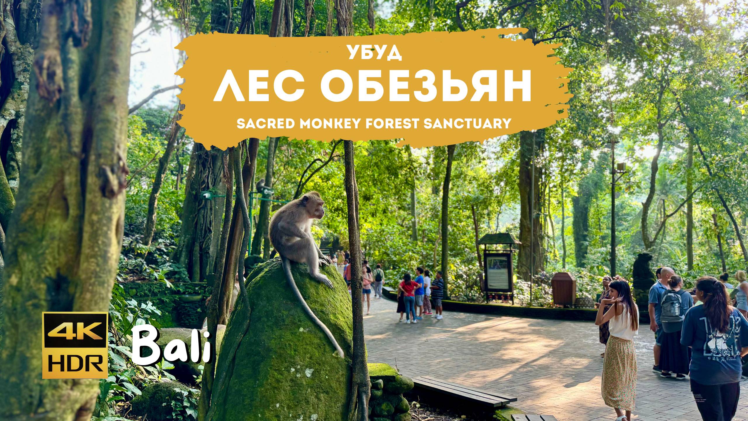 Лес обезьян в Убуде (Ubud Monkey Forest) на Бали