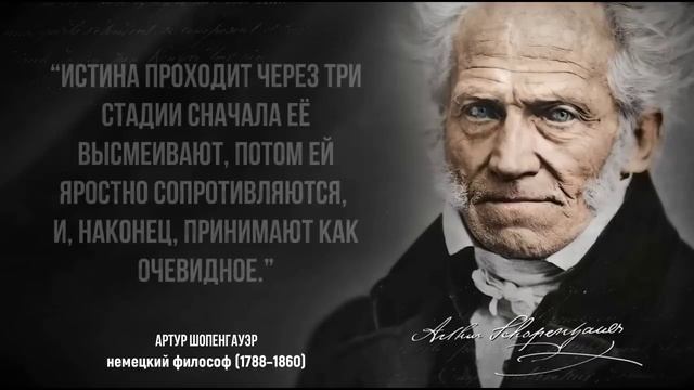 Уроки жизни от Шопегаузера смотреть онлайн