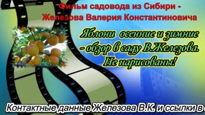 Яблони  осенние и зимние - обзор в саду В.Железова. Не нарисованы!