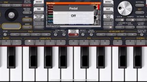 ORG 24 на iPhone.. ZURNA Զուռնա👍🏻