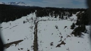 Весна а Алтайских горах. Усть - Кокса, Красная горка,  май, 2021г.